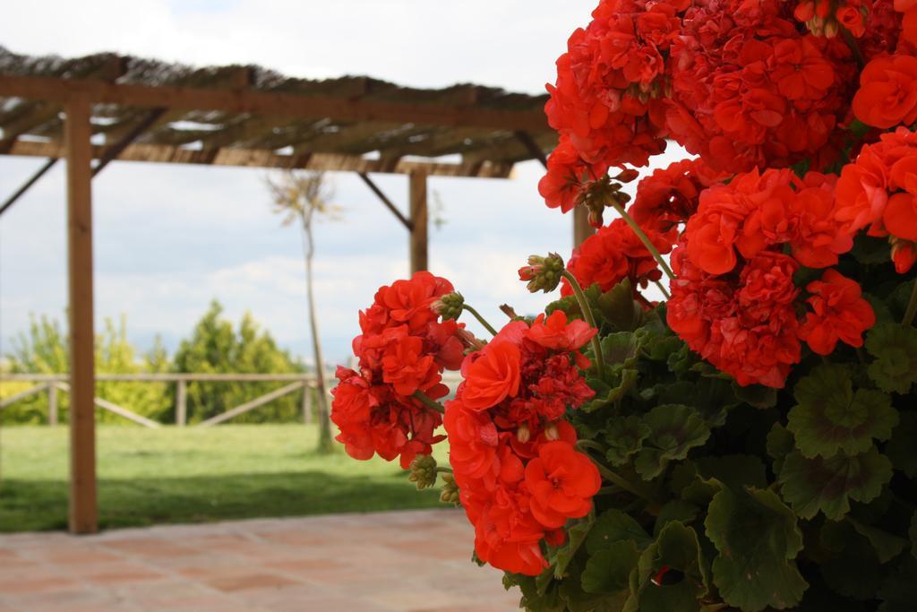 Atalaya De La Campina Córdoba Exterior foto